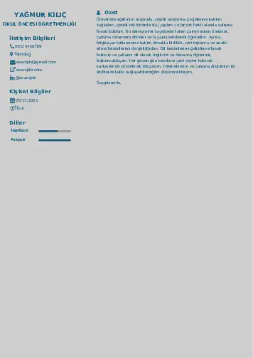 Okul Öncesi Öğretmeni Öğretmenliği Cv Örnekleri cv indir